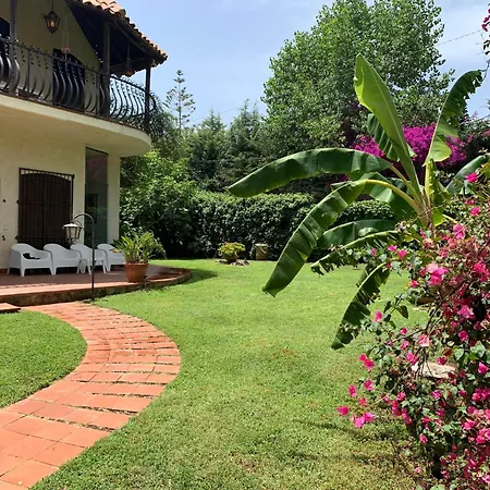 Elisa Villa *